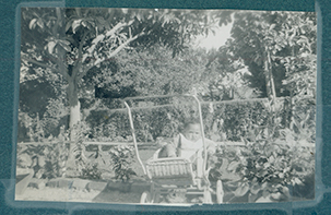 baby barely visible in faded garden will be enlarged and cleaned up in this photo restoration