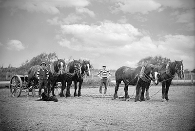 faded image of horseteam now ready for hanging in family home
