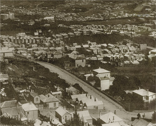 detail from restored photo of wellington. Panel-joins now edited away.