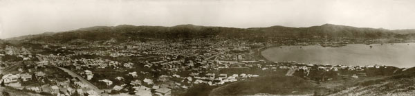 Photo of Wellington from Mount Victoria in 1860s begins to emerge in photo restoration